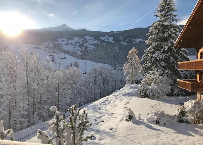 Apartment Chalet Eiger-2 By Interhome * Grindelwald