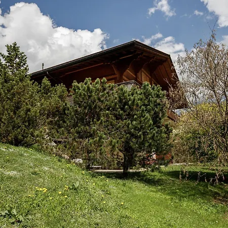 Apartment Chalet Eiger-2 By Interhome Apartment Grindelwald